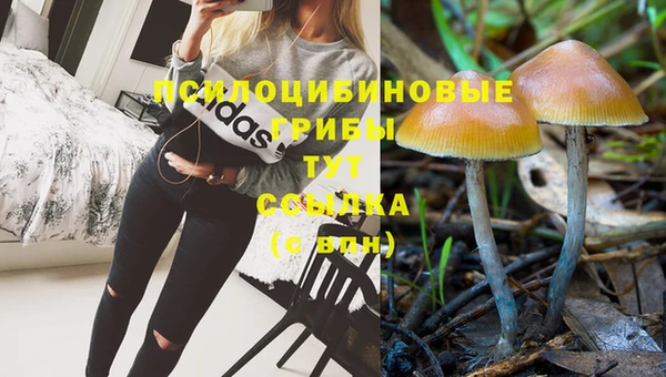 соль курить ск Белоозёрский