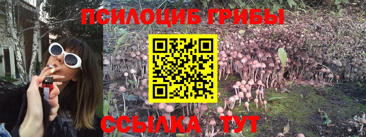 где можно купить   Галлюциногенные грибы Cubensis  Вход с VPN  Галлюциногенные грибы Magic Shrooms  Бузулук 