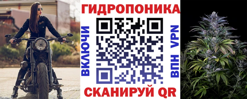 где купить наркоту Бузулук Конопля VHQ